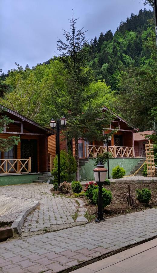 Centro Park Hotel Uzungöl Rom bilde