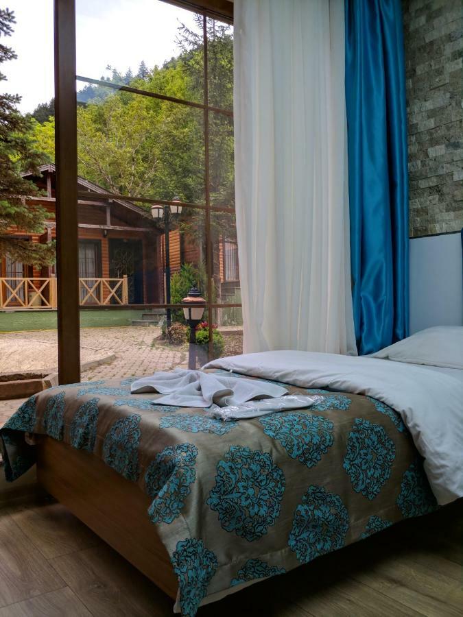 Centro Park Hotel Uzungöl Rom bilde